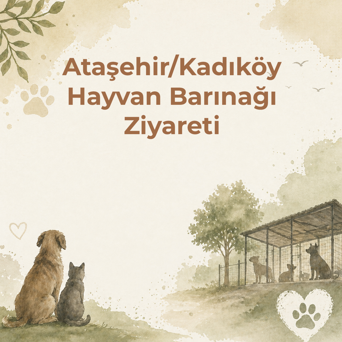barınak-etkinlik-pc kopyası 2