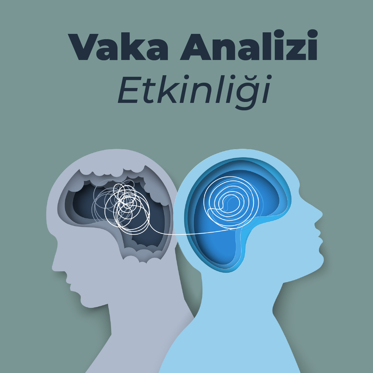 vaka analizi_etkinlik-pc copy 5